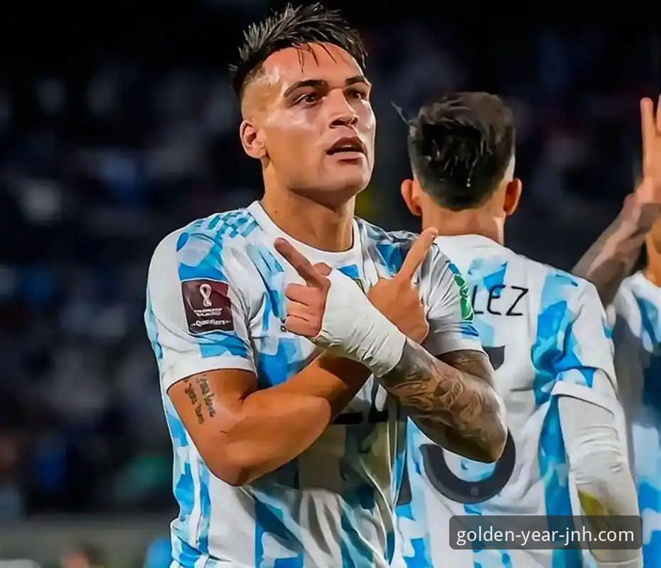 资深用户解读阿根廷队伤病危机：金年会体育平台观赛与深度分析指南